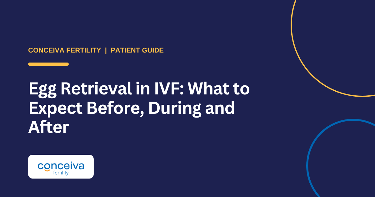 Conceiva Fertility patient guide to what happens before, during and after egg retrieval in IVF